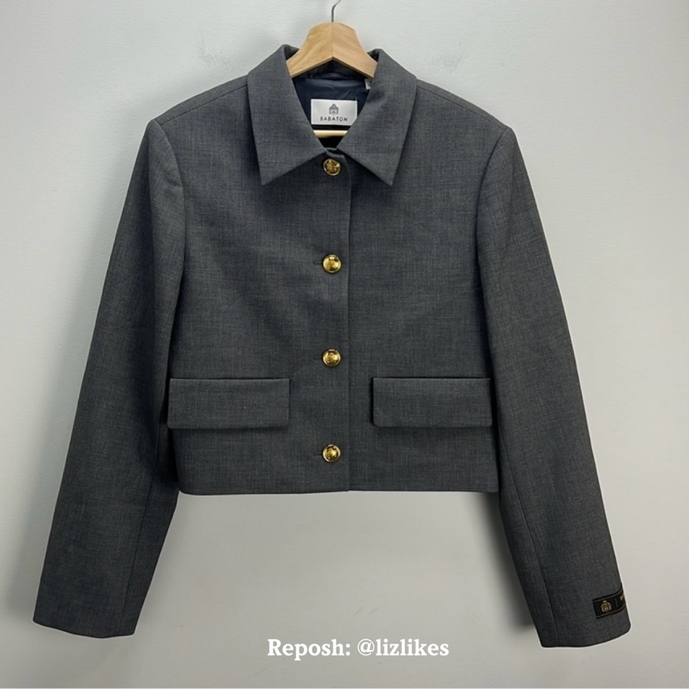 Aritzia Babaton
Frances Blazer/Jacket Charcoal Gray